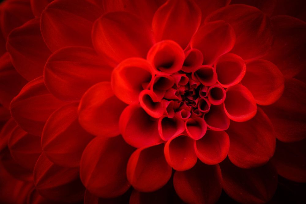 Photograph by Maksim Zhdanovich