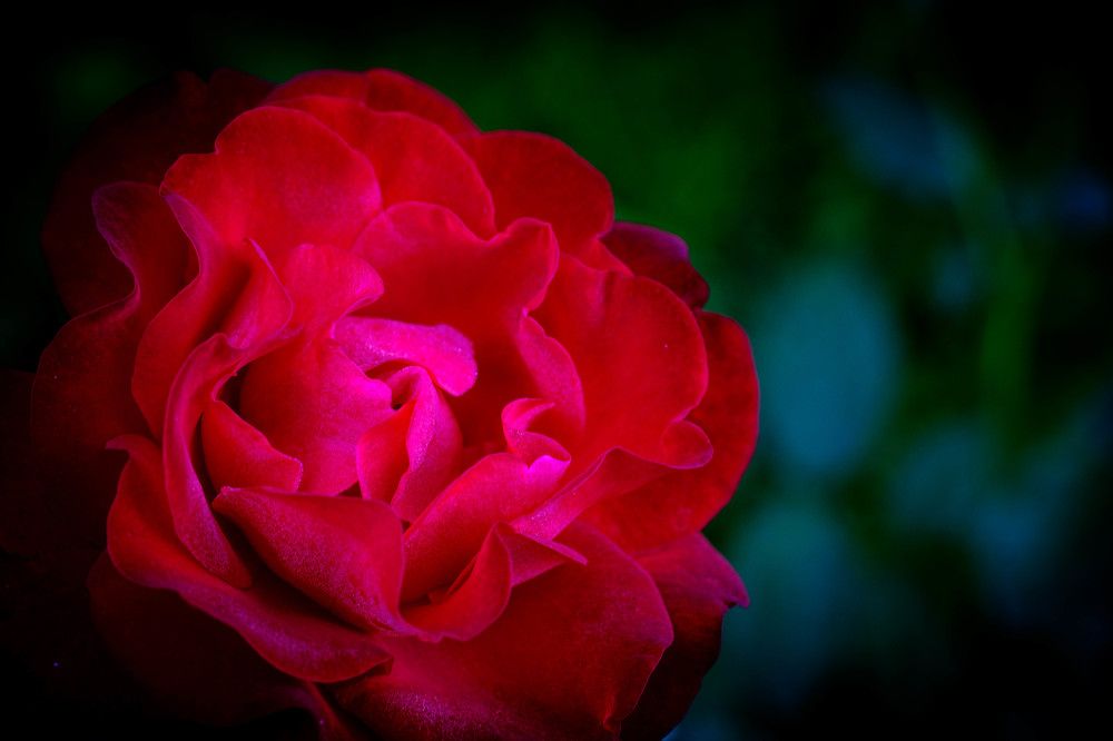 Photograph by Maksim Zhdanovich