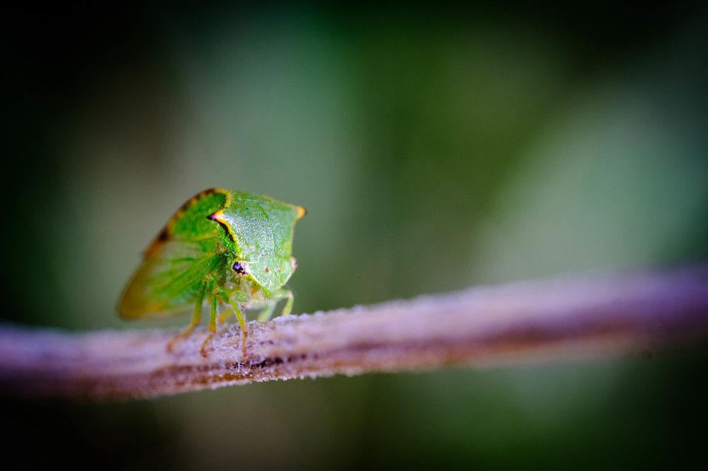 Photograph by Maksim Zhdanovich