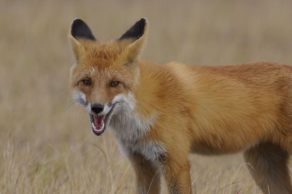 Photograph by Алексей Миронов