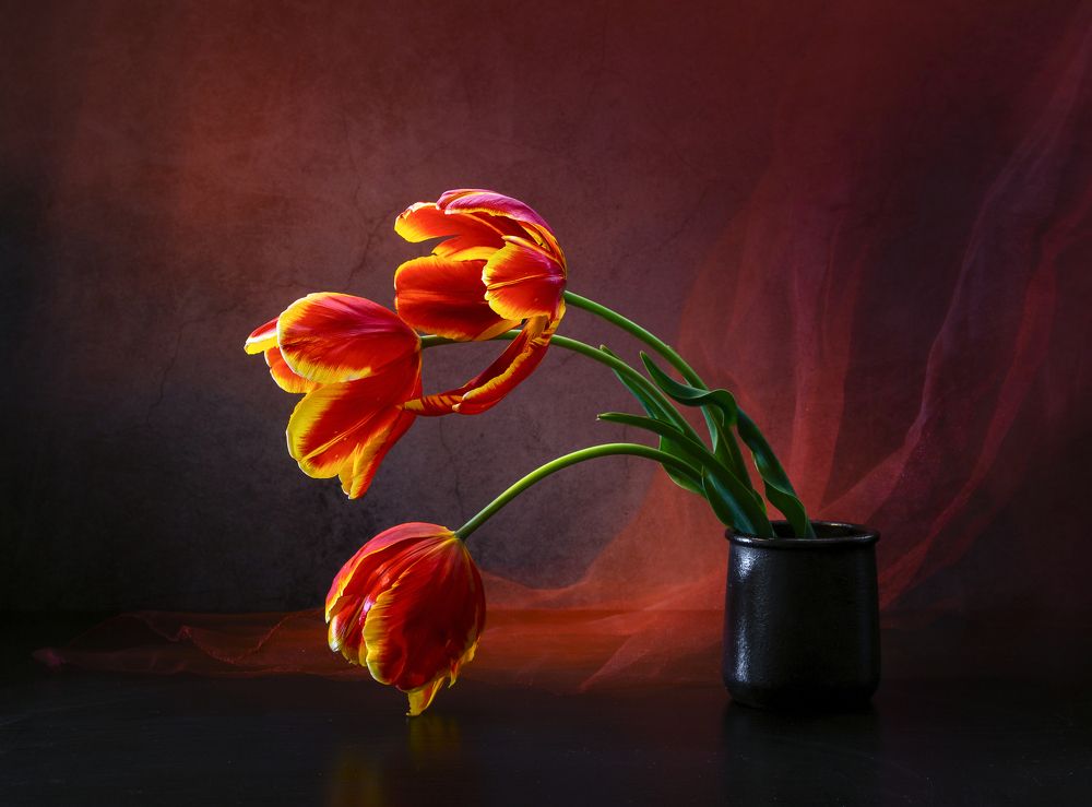 Photograph by Ирина Толокновская