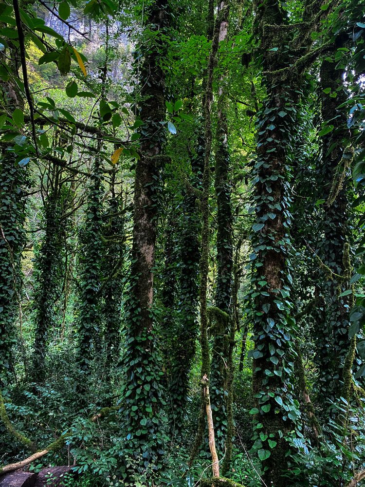 Photograph by Вера Романова