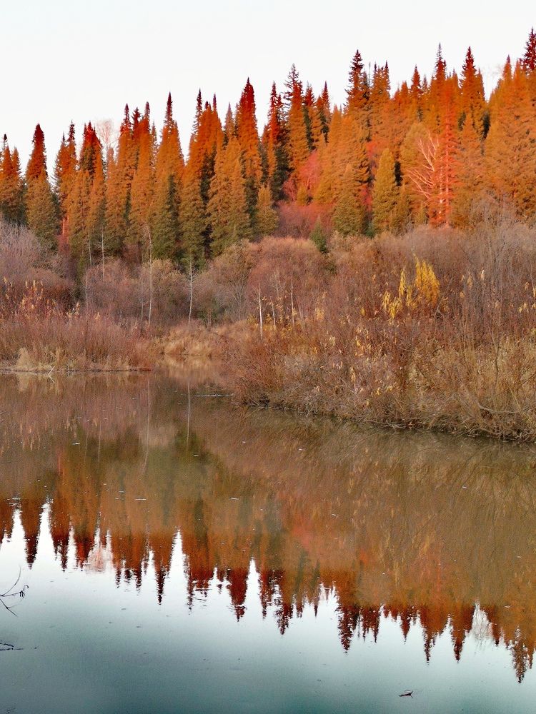 Photograph by Нина Титенкова