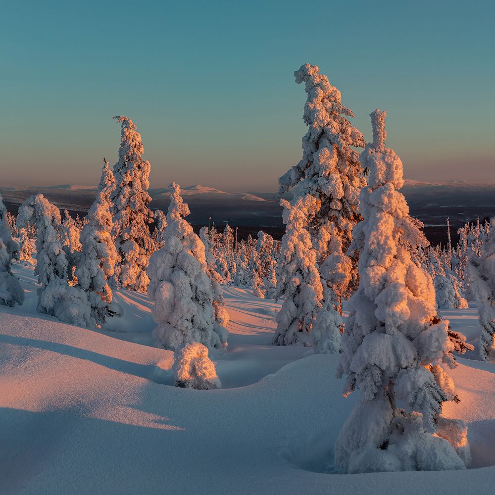 Photograph by Зарышнюк Роман