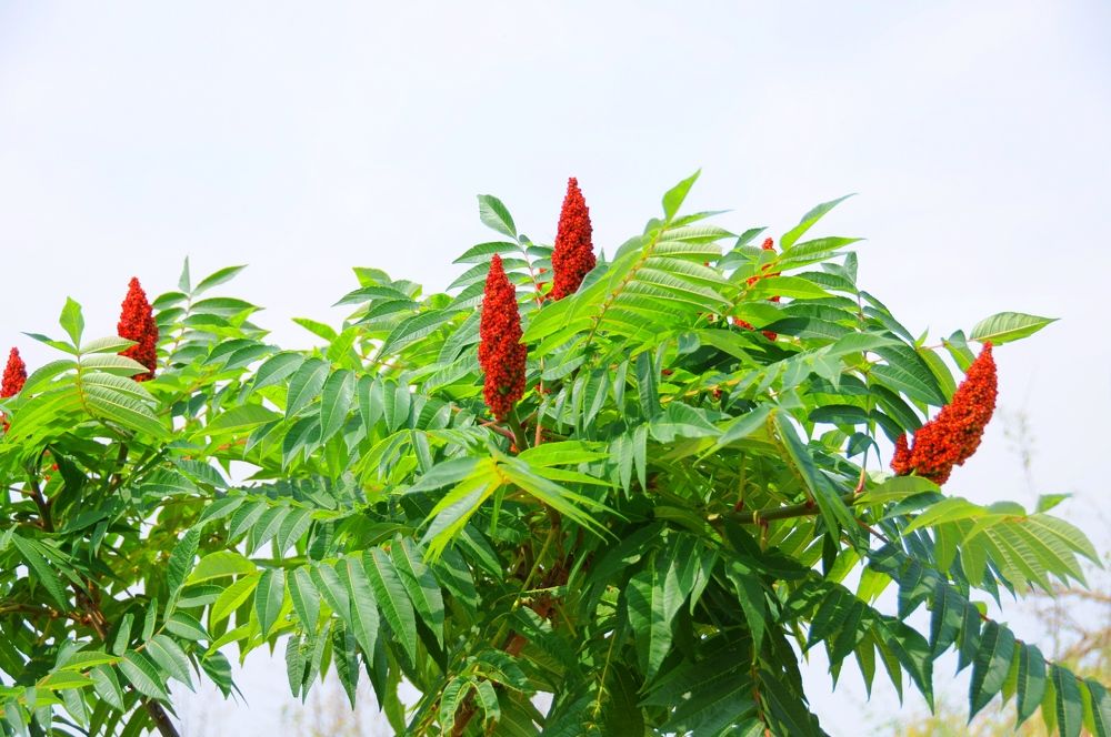 Photograph by Евгений Захаров