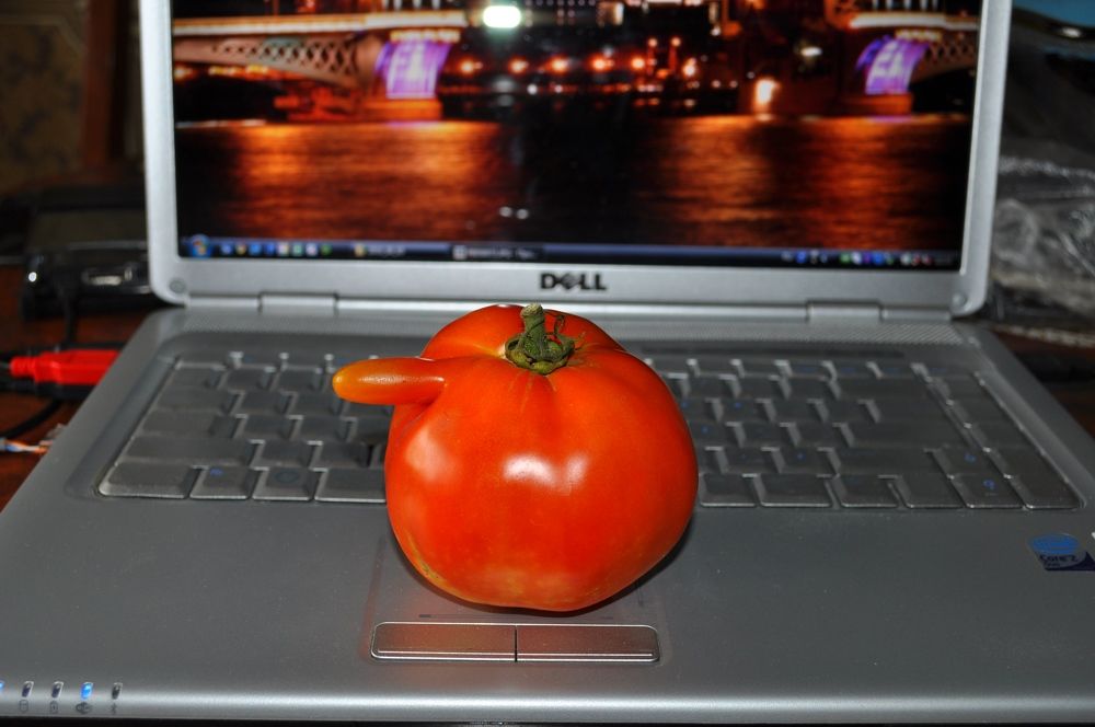 Photograph by Евгений Захаров