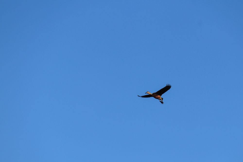 Photograph by Samit Bhattacharjee