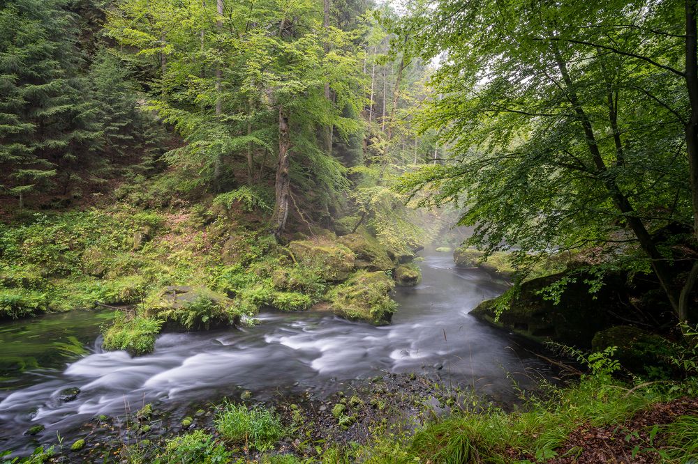 Фотография автора Michal Nega