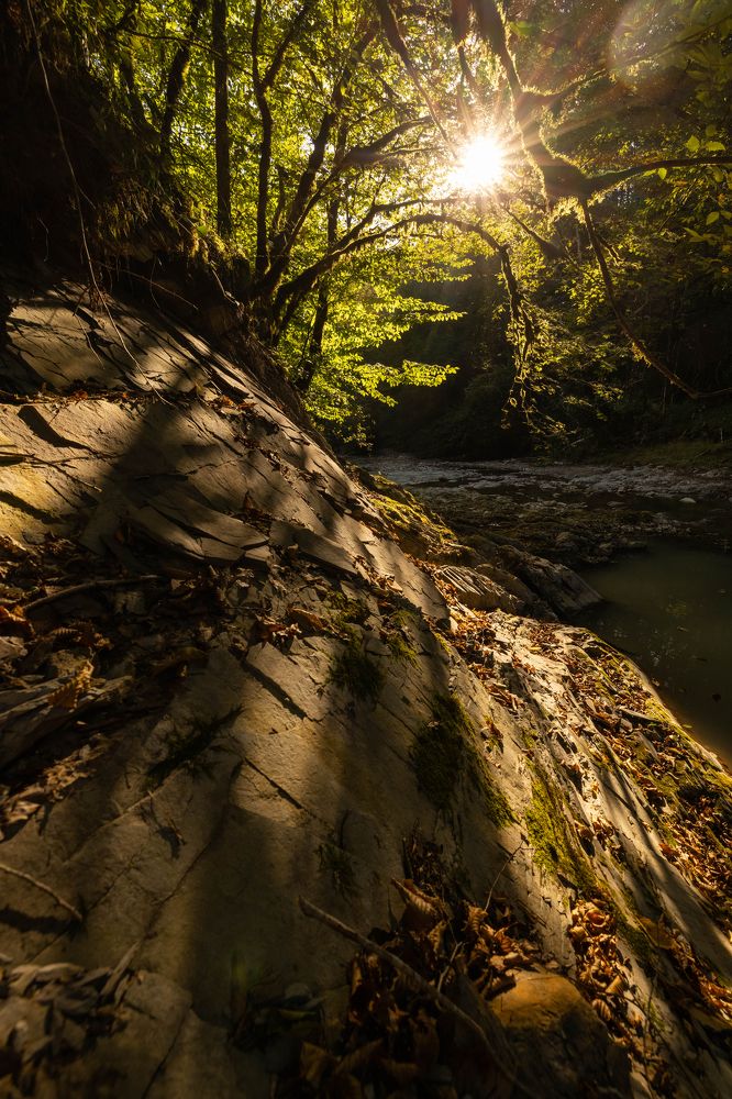 Photograph by Алексей Солоухин