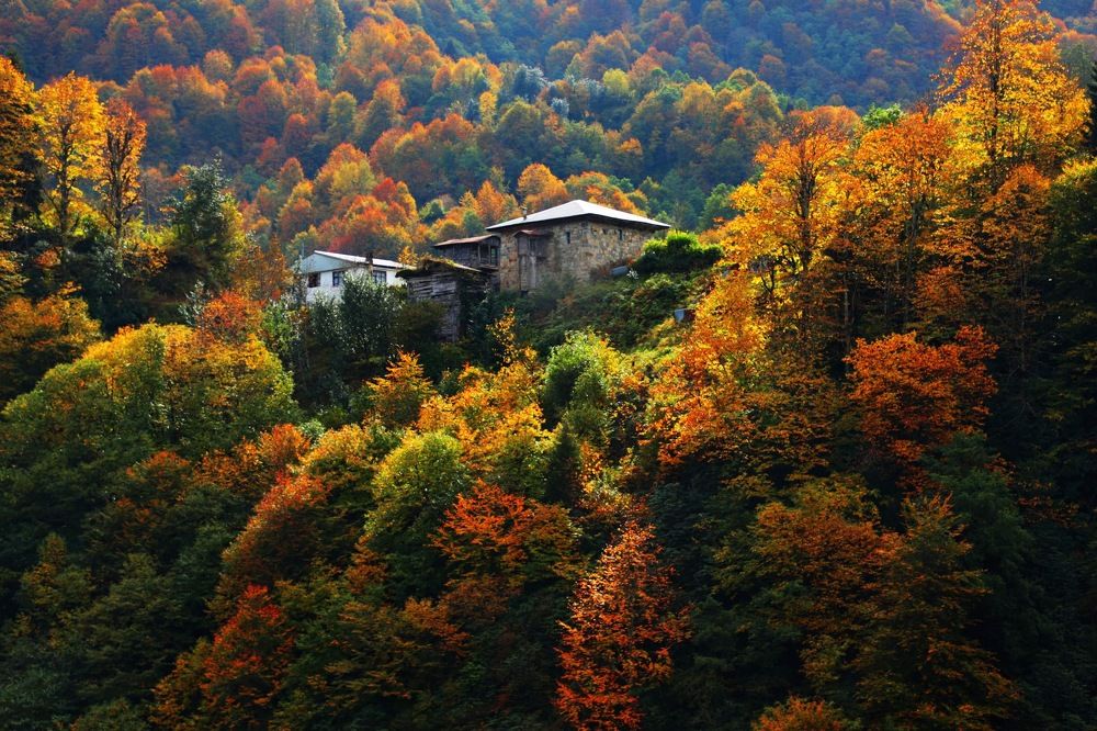 Photograph by Esin Sağır