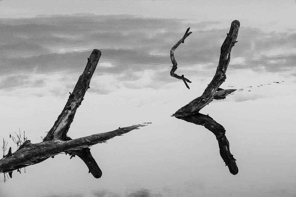 Photograph by Владислав Никишин