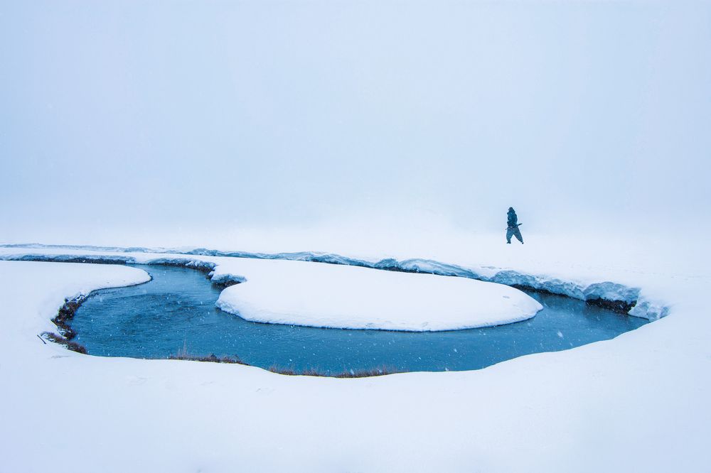 Фотография автора Alipour mohammad