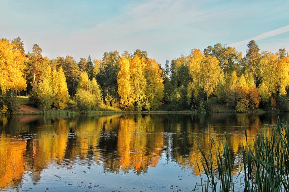 Photograph by Виктория Хмара