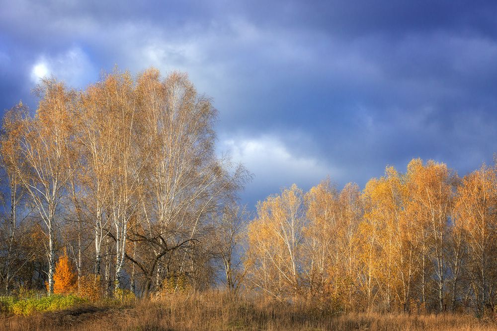 Photograph by Владислав Никишин