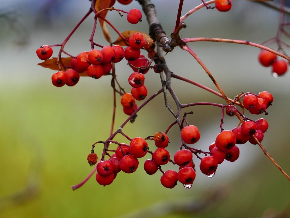 Photograph by Александр Кизим