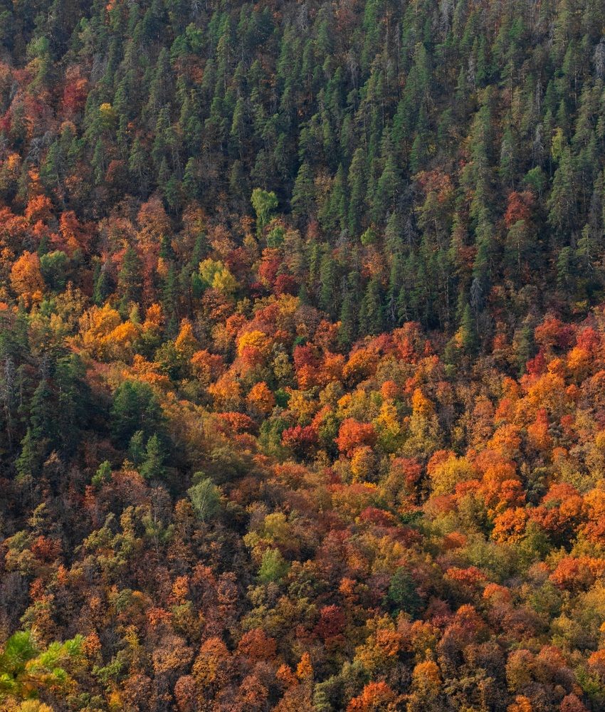 Photograph by Дамир Давронов