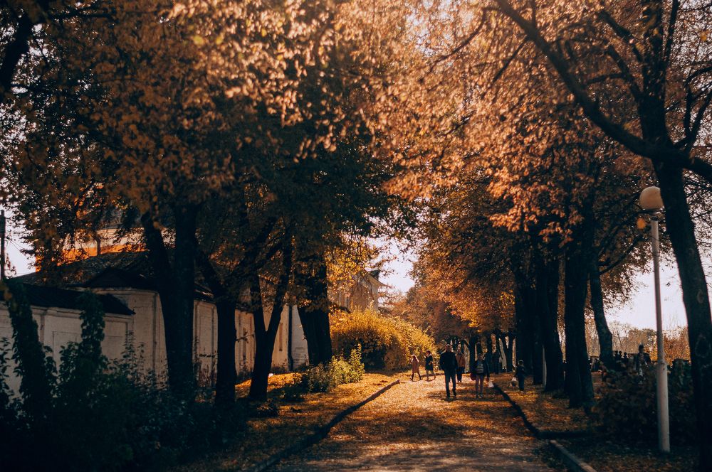 Photograph by Татьяна Зубехина