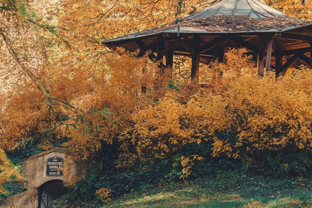 Photograph by NINA OVCHINNIKOVA