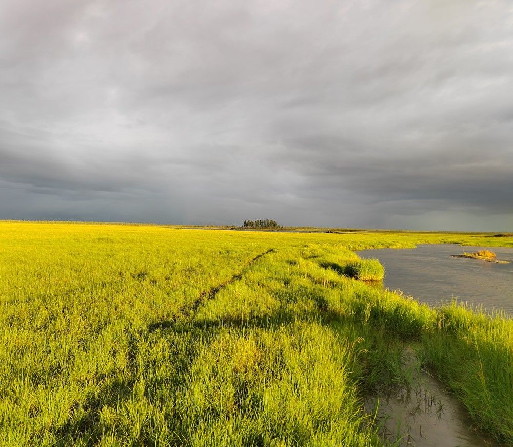 Photograph by Александр Булдаков