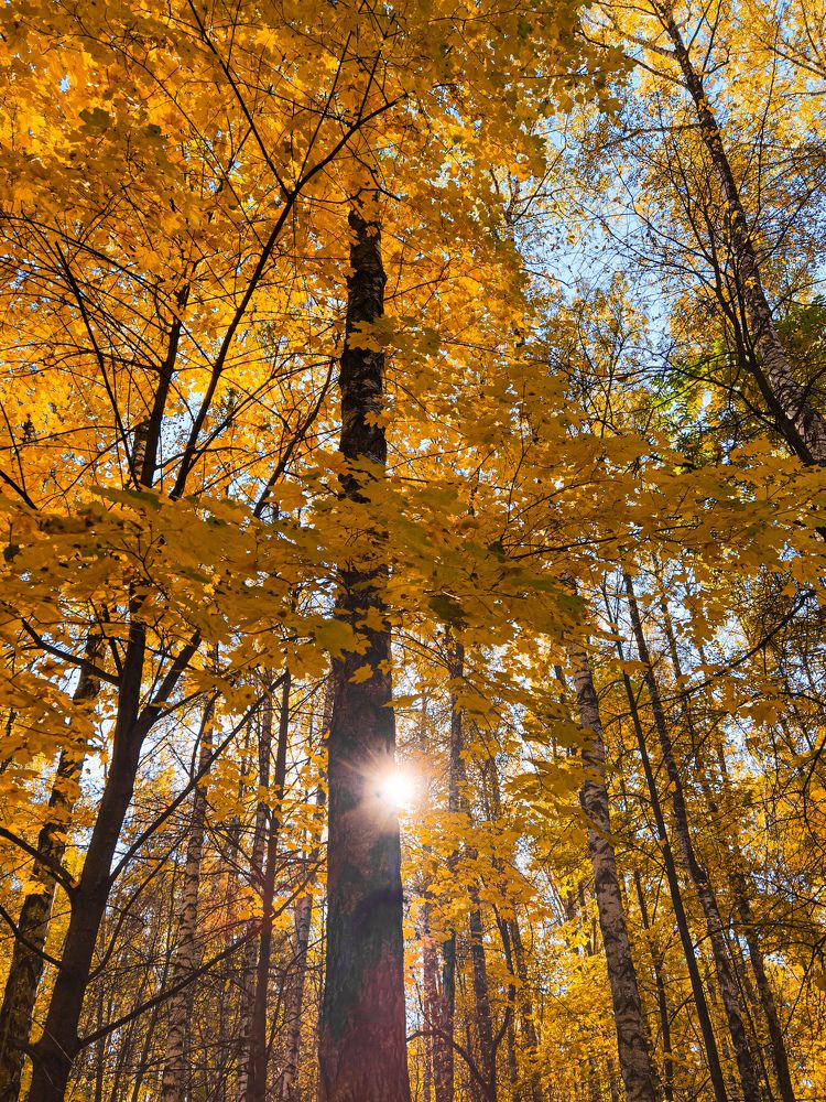 Photograph by Влад Апанасов