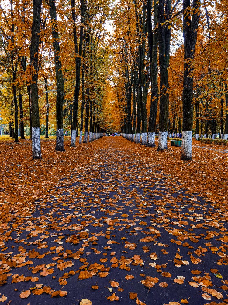 Photograph by Влад Апанасов