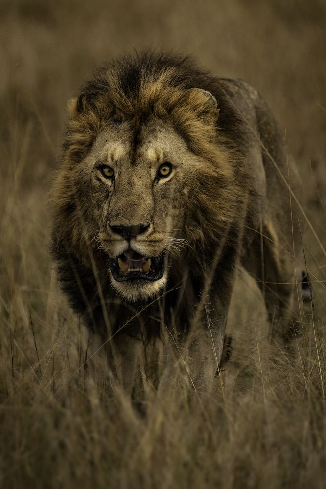 Photograph by Merche Llobera