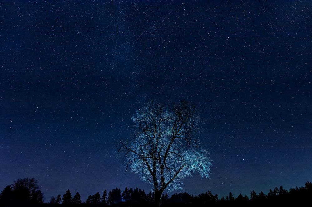 Photograph by Андрей Копылов