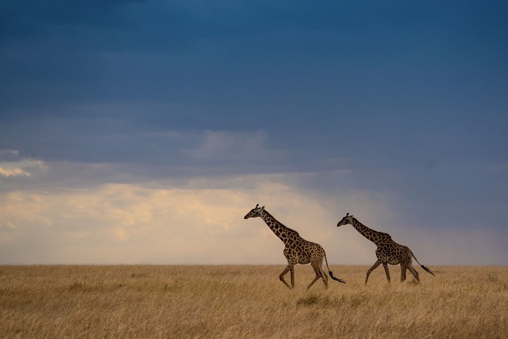 Photograph by Merche Llobera