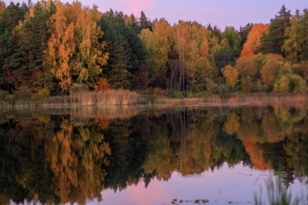 Photograph by Natalia Bobrova