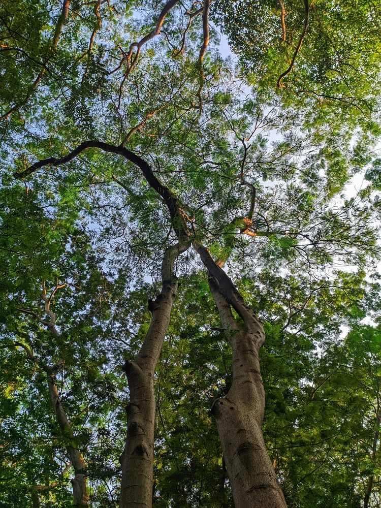 Photograph by Sai Bagal