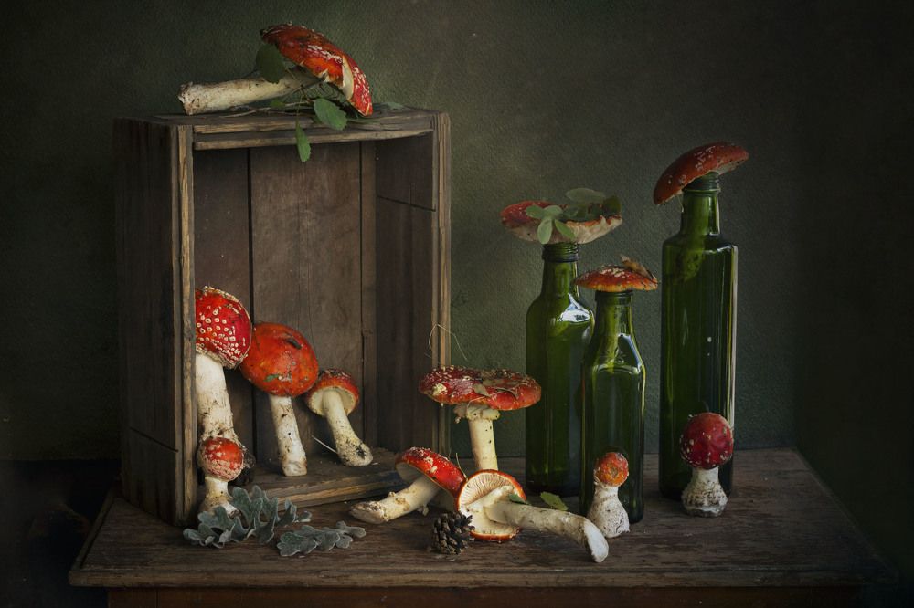 Photograph by Лионелла Зимина