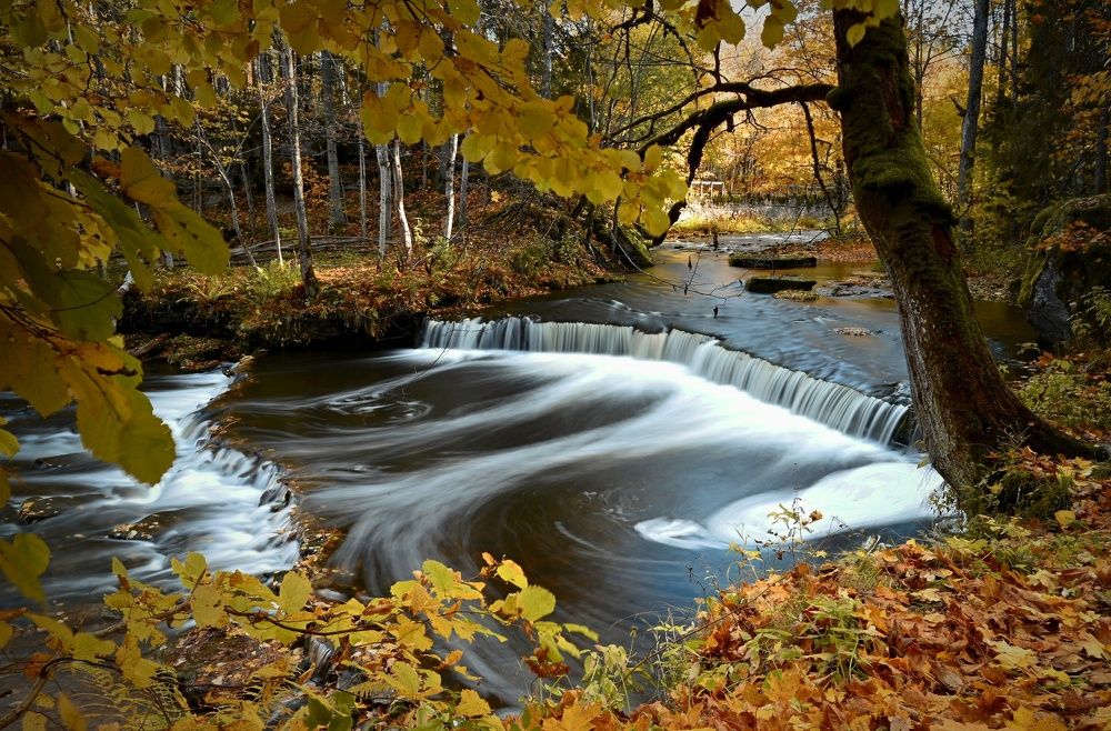 Photograph by Ija Reiman