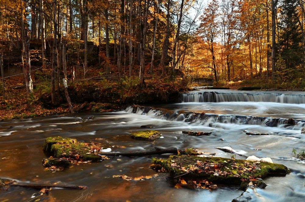 Photograph by Ija Reiman