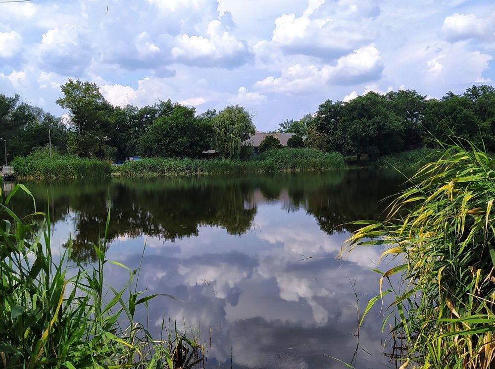 Отражение...