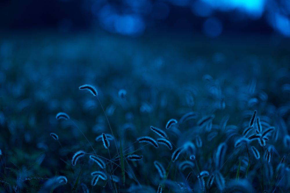 Photograph by Хисматулин Ренат