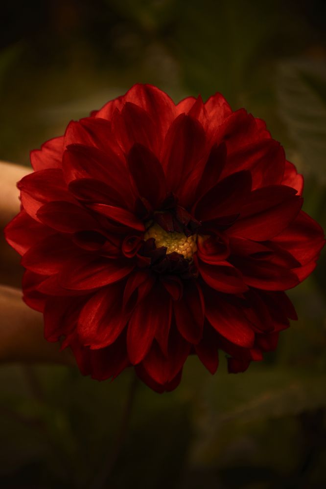 Фотография автора Nikita Gaidarenko