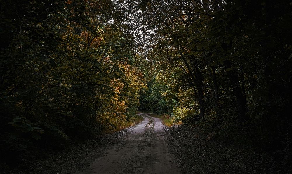 Photograph by Владимир Фролов