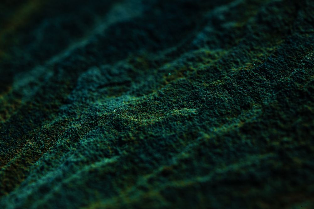 Photograph by Хисматулин Ренат