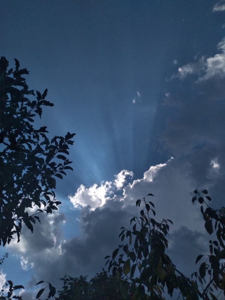 Photograph by Наталья Романова