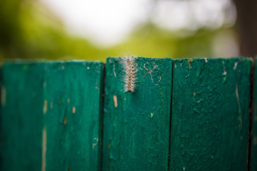 Photograph by Хисматулин Ренат