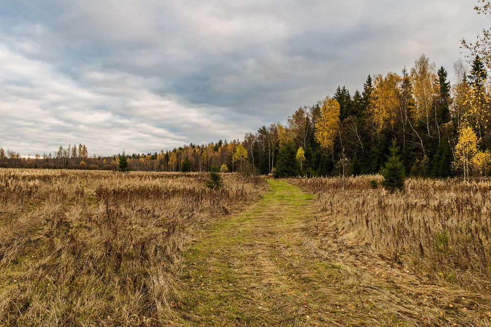Photograph by Алексей Чеботарев