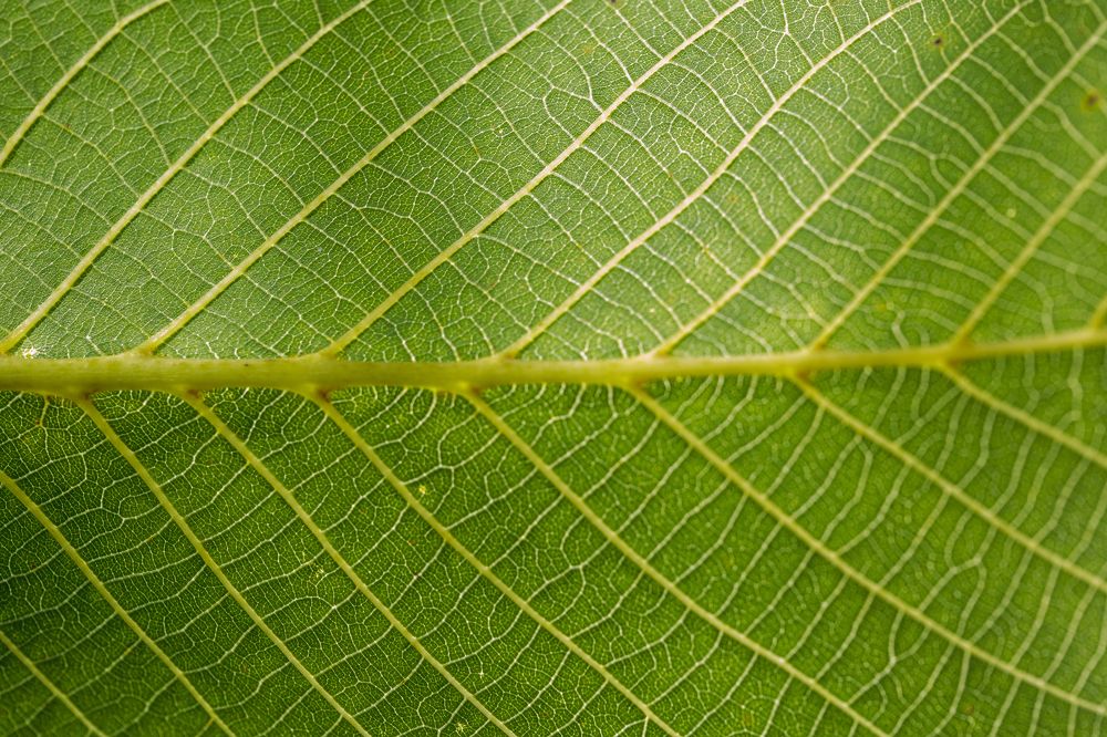 Photograph by Хисматулин Ренат