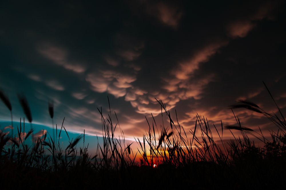 Photograph by Хисматулин Ренат