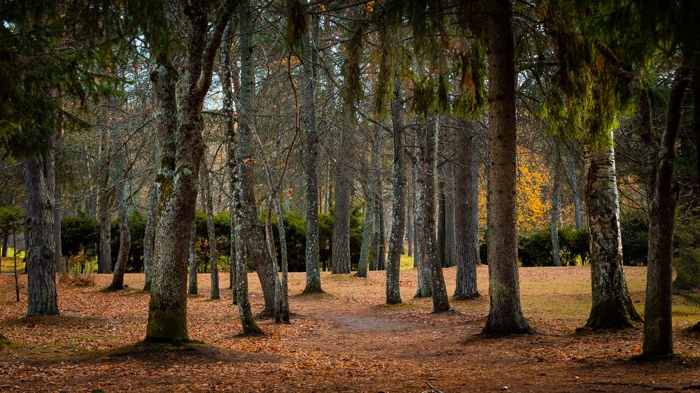 Photograph by Peter Aleksandrov