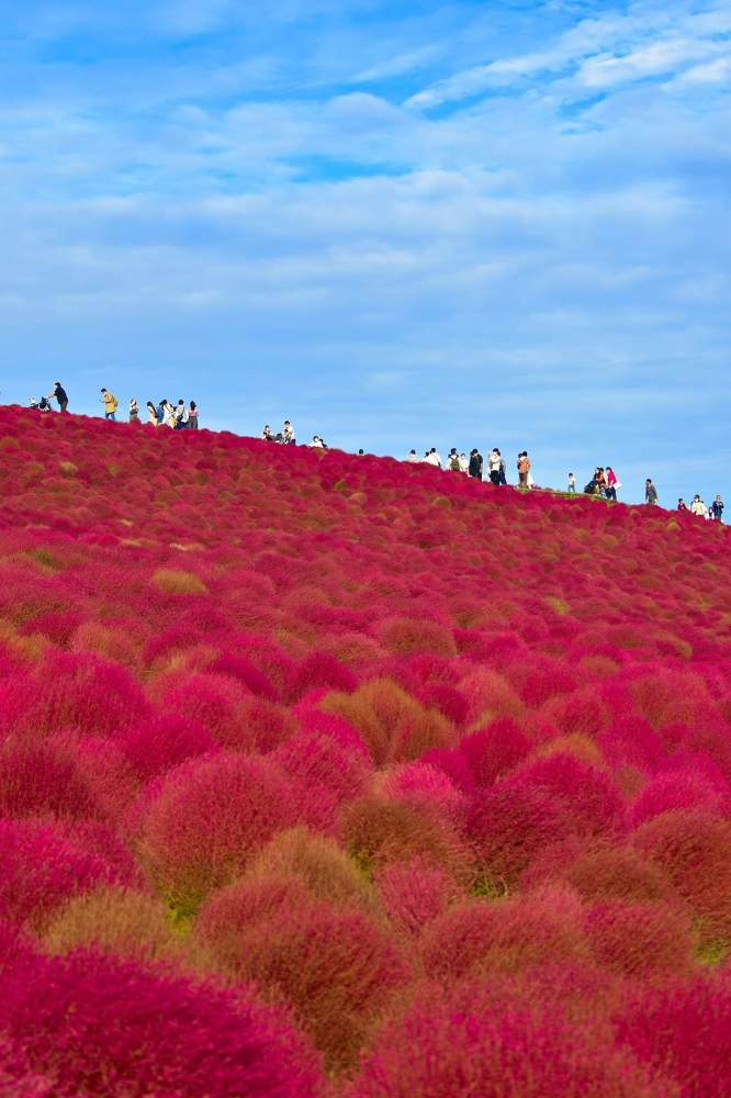 Фотография автора Sen Abhijit