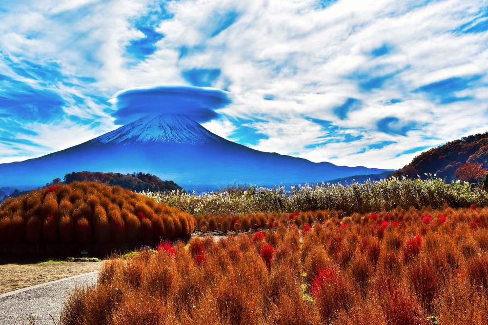 Фотография автора Sen Abhijit