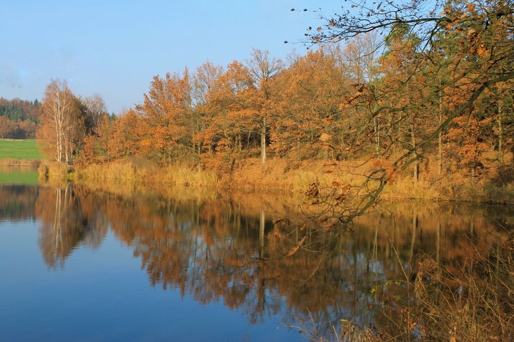 Photograph by Евгения Д