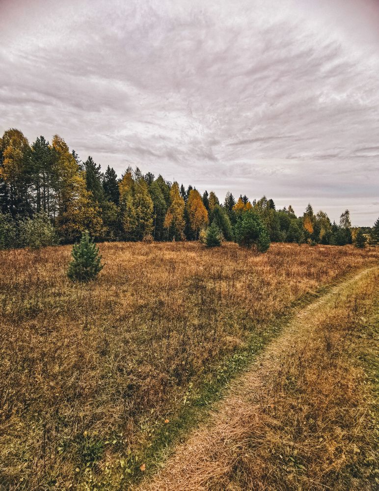 Photograph by Марина Копылова