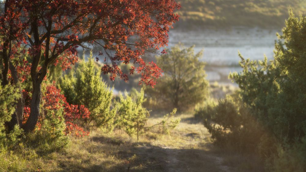 Photograph by Черкасов Сергей