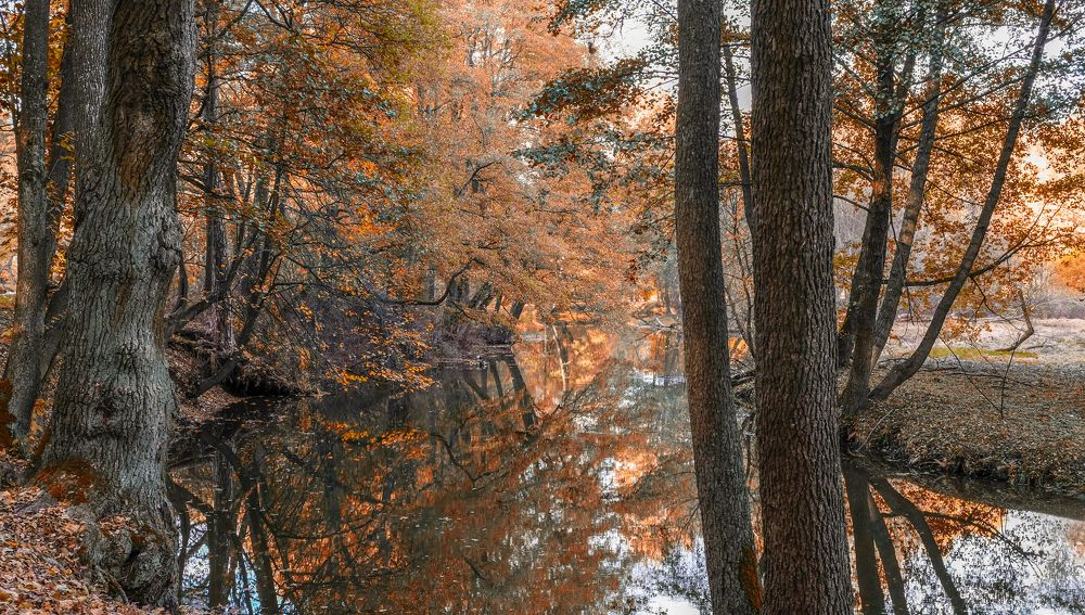 Фотография автора Александр Буренко
